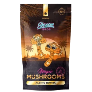Albino Burma Magic Mushrooms