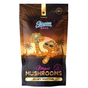 Bluey Vuitton Magic Mushroom