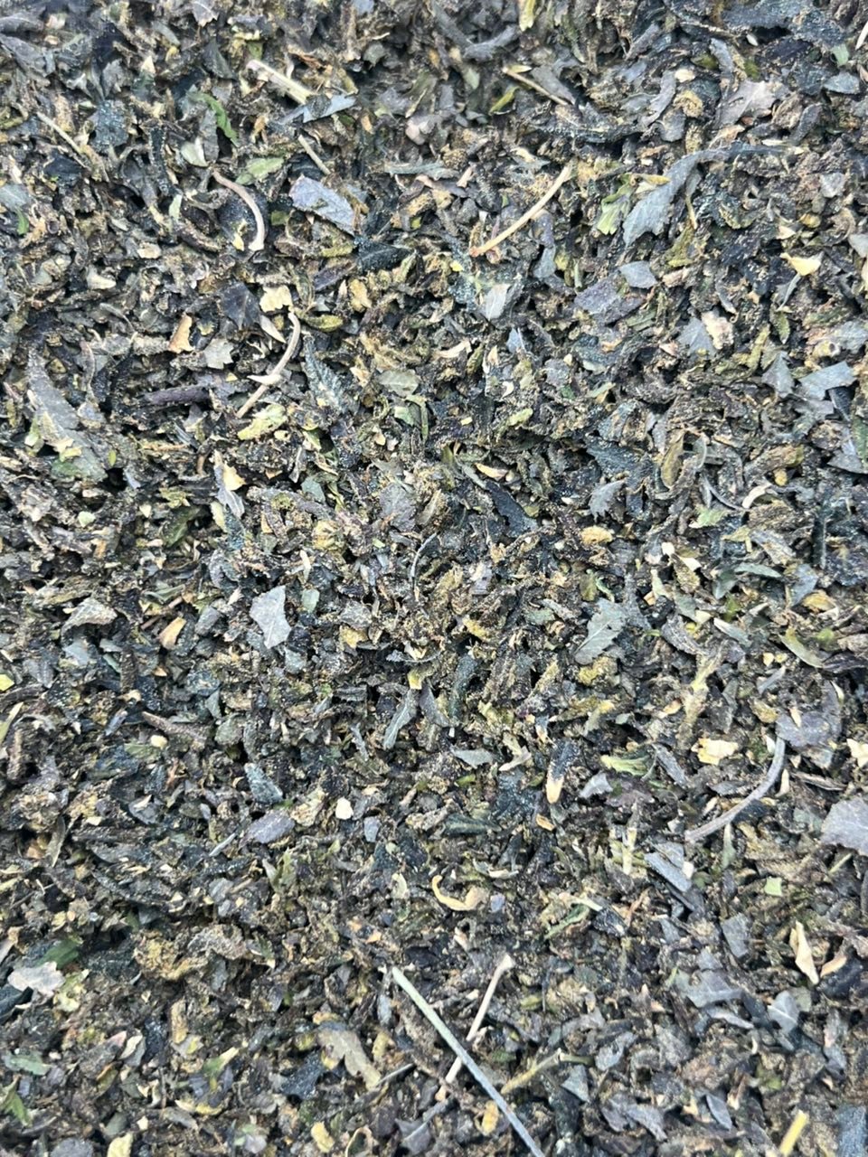 BUY CHANGA DMT ONLINE