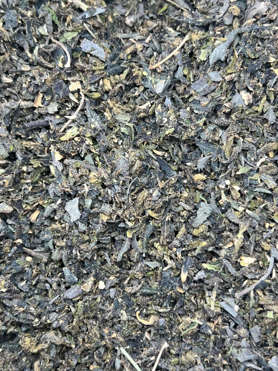 BUY CHANGA DMT ONLINE