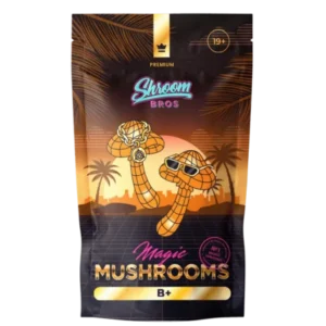 B+ Magic Mushrooms